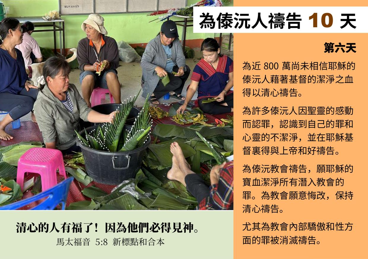 第六天
