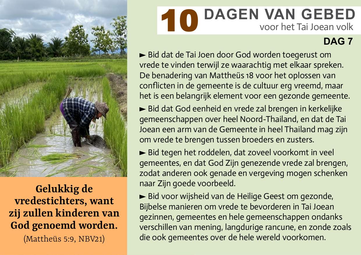Dag 7