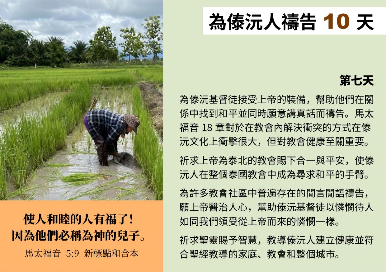 第七天